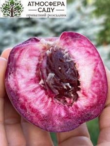 Персик Октобер Ред красномясый 